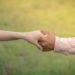 男女の違いを理解してビジネスに活かそう