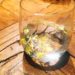 菊酒お初です。